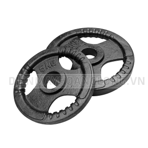 Tạ Đĩa Gang Tạ Đĩa Gang