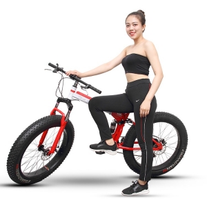 Xe đạp gấp bánh to LV.NA Xe đạp gấp bánh to LV.NA