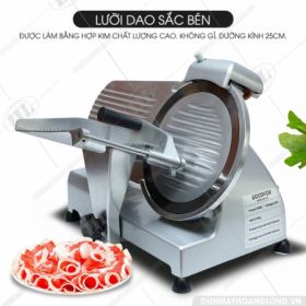 Máy Cắt Thịt Đông Goodfor WED-B250B-4( Dao Đức) Máy Cắt Thịt Đông Goodfor WED-B250B-4( Dao Đức)