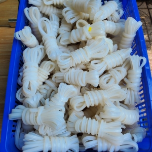 pk Gioang máy hút chân không 500 pk Gioang máy hút chân không 500