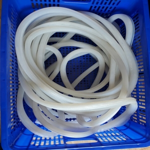 pk Gioang máy hút chân không 500*2 pk Gioang máy hút chân không 500*2