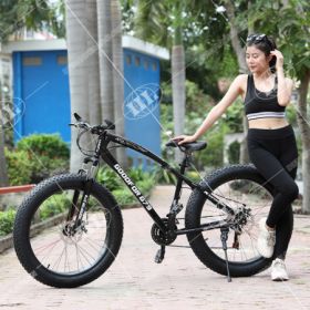 Xe đạp bánh béo Goodfor G79 Xe đạp bánh béo Goodfor G79