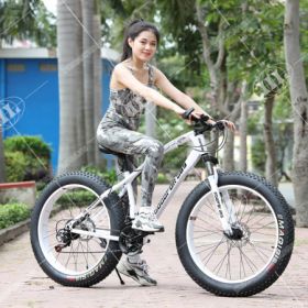 Xe đạp bánh béo Goodfor G89 Xe đạp bánh béo Goodfor G89