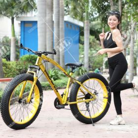 Xe đạp bánh béo Goodfor G99 Xe đạp bánh béo Goodfor G99