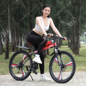 xe đạp gấp goodfor 339 xe đạp gấp goodfor 339