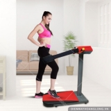 Máy rung bụng đứng Massage Sport