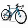 Xe đạp Twitter R10 RS-C